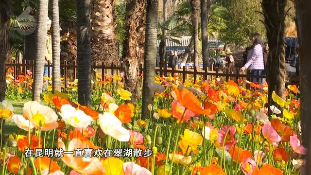 乐鱼体育官网-主场称雄？客场破局？期待！